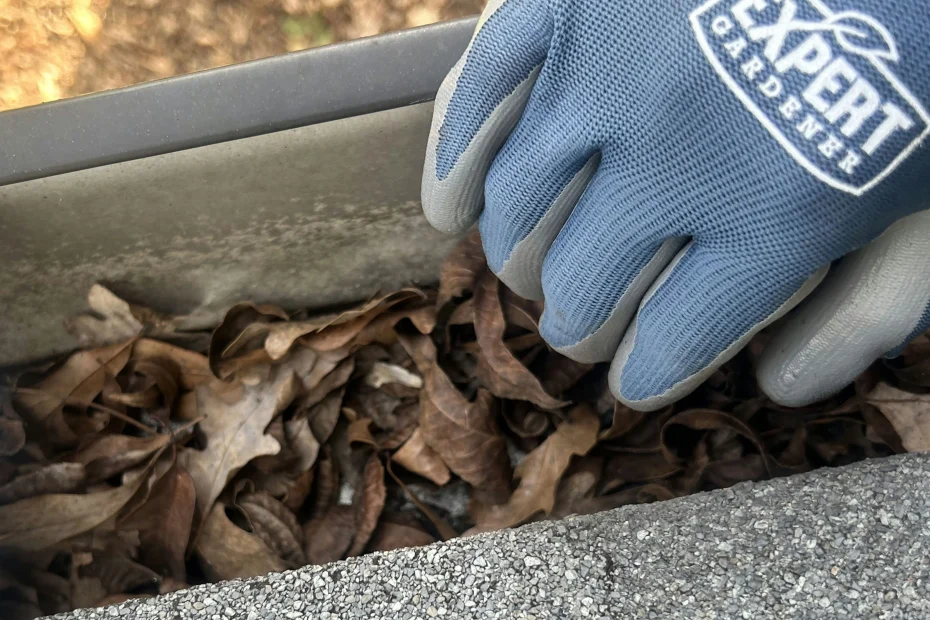 Gutter Cleaning Holden Beach